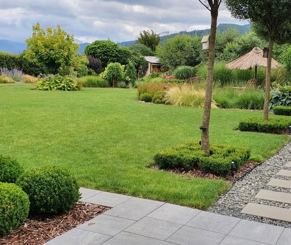 AdobeStock_447279368